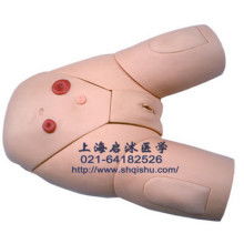 2019年醫(yī)藥教學(xué)器材市場報(bào)價(jià)分析與批發(fā)采購指南——以教育裝備網(wǎng)第40頁為例